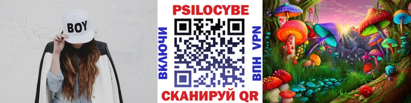 Галлюциногенные грибы MAGIC MUSHROOMS  hydra онион  Питкяранта 