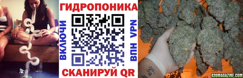 Каннабис планчик где можно купить Питкяранта